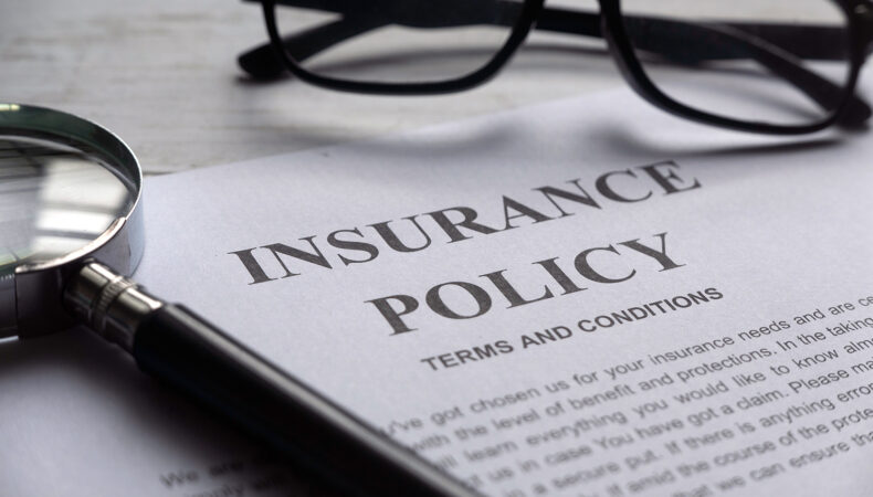 insurance policy